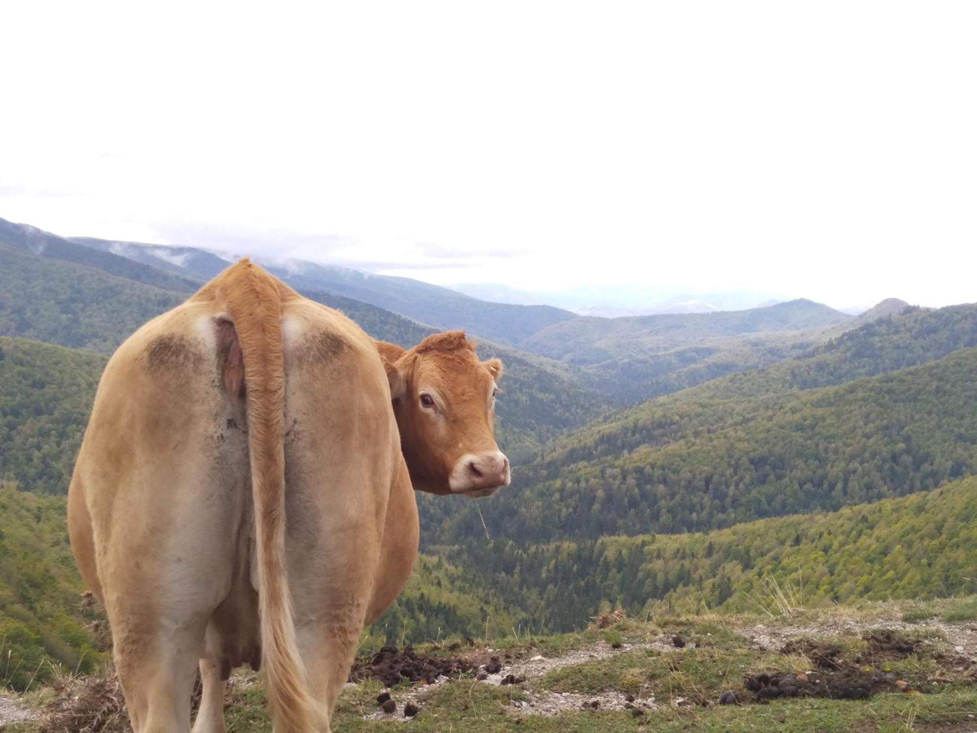 Altxabi Apartamento Rural Ochagavía Zewnętrze zdjęcie